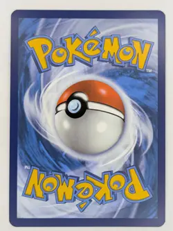 Pokemon TCG Wailord 162/159 Illustration Rare Holofoil - Image 2