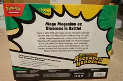 Pokemon Mega Evolution Ascended Heroes - Mega Meganium ex Box - Sealed TCG - Image 3