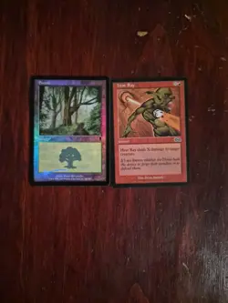 Magic The Gathering - Torment Sacrilege Deck, Vintage 2002 - Image 3
