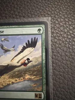 Birds of Paradise - 170 - NM - Commander: Marvel Super Heroes - MTG - Image 4