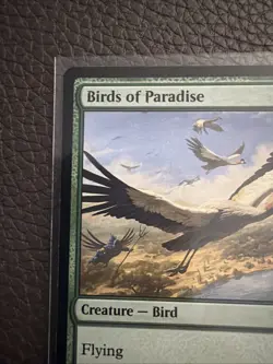 Birds of Paradise - 170 - NM - Commander: Marvel Super Heroes - MTG - Image 5