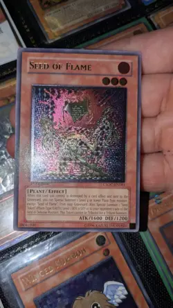 Seed of Flame (UTR) CSOC-EN081 Crossroads of Chaos 1st Edition - Image 1