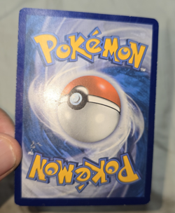 Tympole 042/203 Non Holo Common Evolving Skies Pokemon Card - Image 3