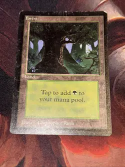 Beta Forest C X1 Mtg Mp/Hp - Image 1
