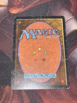 Beta Forest C X1 Mtg Mp/Hp - Image 2