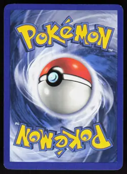 Mudkip 58/100 - Pokemon Crystal Guardians - Common - LP - Image 2