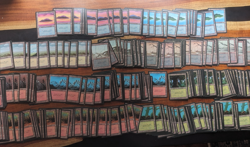 Magic MTG FBB Basic Lands Lot 380 French black border www_MoxBeta_com - Image 1