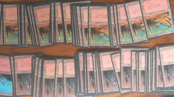Magic MTG FBB Basic Lands Lot 380 French black border www_MoxBeta_com - Image 2