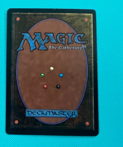 Merchant Scroll - Homelands - MTG - Magic the Gathering - LP - Image 2