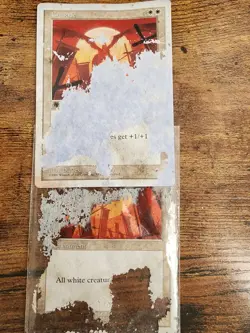 2x MTG Crusade ⭐5th (Fifth) & 6th Edition ⭐Water DMG 20 HQ PICS ⭐1997 Rare Magic - Image 5