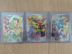 Pokemon TCG - Johto Set - First Partner Illustration - Series 2 - English Gen 2 - Image 1