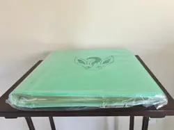 US SELLER Pokemon Leafeon 480 Slot Binder File Chinese Eevee Gift Box - Sealed - Image 3