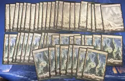 MTG Near Mint Full Art Wastes x22 #183, x26 #184 Oath of the Gatewatch - Image 1