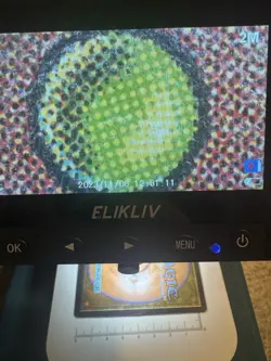 Magic the Gathering Savannah Revised Edition Regular Card - Image 3