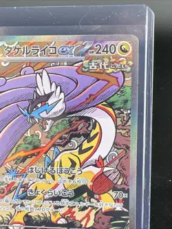 Raging Bolt ex 222/187 SAR Terastal Fest EX Japanese Pokemon Full Art NM - Image 3