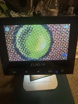 Magic the Gathering Bayou Revised Edition Dual Land Regular Card - Image 3