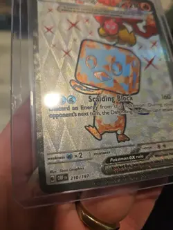 Eiscue ex 210/197 Obsidian Flames Full Art Ultra Rare Holo Pokemon TCG - Image 4