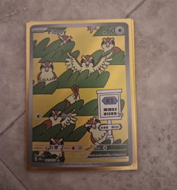 Pokemon TCG Pidgey SV03 Obsidian Flames Illus Rare Full Art Holo EN - Image 1
