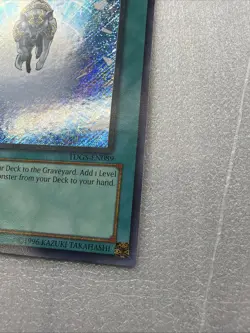 Yugioh Charge of the Light Brigade TDGS-EN089 Secret Rare 1st Edition NM - Image 3