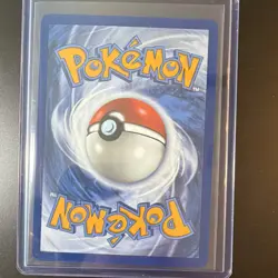 Pokemon Bulbasaur Charmander Squirtle First Partner Collection 30th anniversary - Image 4