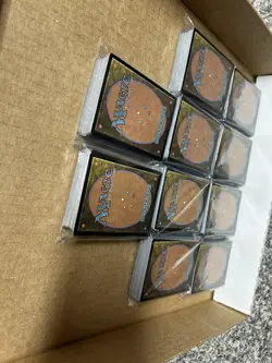 500 MAGIC THE GATHERING MTG LOT BASIC LANDS LOT 100 OF EACH LAND LOT AUTHENTIC - Image 4