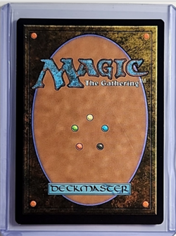 MTG Magic the Gathering FIC Final Fantasy Commander Surge Foil Sungrass Prairie - Image 2