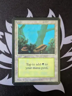 Forest (A)(Rocks) ~ Alpha [Near Mint][Magic MTG] - Image 1