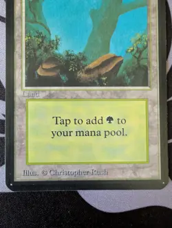 Forest (A)(Rocks) ~ Alpha [Near Mint][Magic MTG] - Image 3