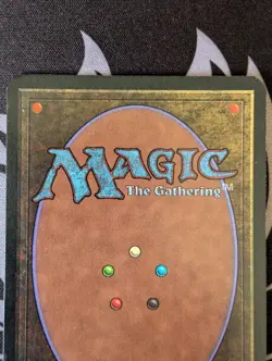 Forest (A)(Rocks) ~ Alpha [Near Mint][Magic MTG] - Image 5