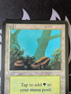 Forest (A)(Rocks) ~ Alpha [Near Mint][Magic MTG] - Image 2