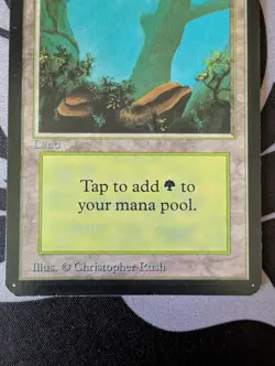 Forest (A)(Rocks) ~ Alpha [Near Mint][Magic MTG] - Image 3