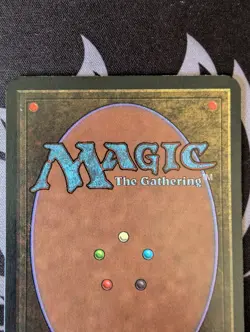 Forest (A)(Rocks) ~ Alpha [Near Mint][Magic MTG] - Image 5