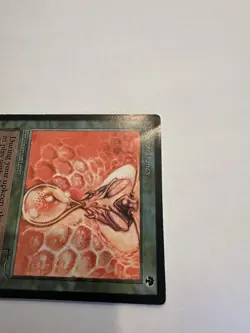 MTG- Drop of Honey - Arabian Nights (ARN) - Image 3