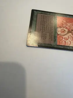 MTG- Drop of Honey - Arabian Nights (ARN) - Image 4
