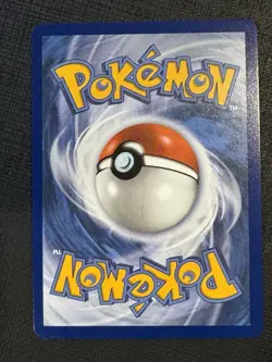 Pokemon TCG Avian 100/094 Phantasmal Flames Illustration Rare NM Condition - Image 3