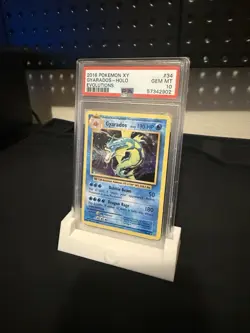 2016 Pokemon XY Evolutions Gyarados Holo Card PSA 10 - 34/108 - Low Pop! - Image 3