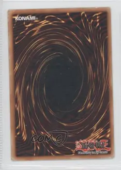Black Tyranno 1st Ed. YuGiOh Dinosaur's Rage Structure Deck #SD09-EN008 READ - Image 2