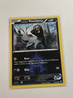 Pokemon TCG Team Aqua's Poochyena Double Crisis 16/34 Common - Image 1