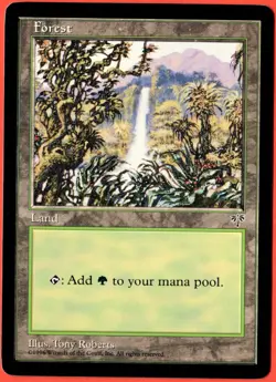 MTG ~ FOREST (#348) ~ Mirage Basic Land ~ NM/M ~ FREE SHIPPING ~ Vintage Magic - Image 1