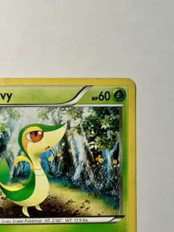 Snivy (Cosmos Holo) 001/114 Black & White Pokemon HP - Image 3