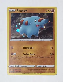 Phanpy SWSH117 - Pokemon TCG Sword & Shield Black Star Promo Holo Rare Card - NM - Image 1