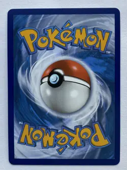 Phanpy SWSH117 - Pokemon TCG Sword & Shield Black Star Promo Holo Rare Card - NM - Image 2