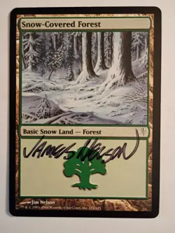 Magic The Gathering - 1x Signed Snow-Covered Forest (mtg) Coldnsap - Image 1
