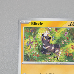 Pokemon TCG Card - Blitzle 31/86 Common | White Flare (2025) WHT - Image 3