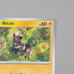 Pokemon TCG Card - Blitzle 31/86 Common | White Flare (2025) WHT - Image 5