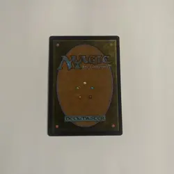 MTG The Apprentice's Folly Wilds Of Eldraine WOE LP - Image 2