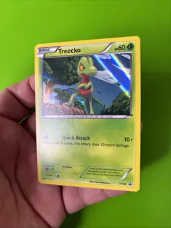 Treecko XY36 Black Star Promo XY Holo Pokemon Card LP - Image 3