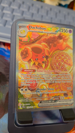 Pokemon TCG Dachsbun ex 169/142 Stellar Crown Special Illustration Rare Holo NM - Image 2
