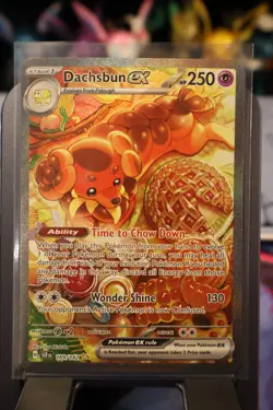 Pokemon TCG Dachsbun ex 169/142 Stellar Crown Special Illustration Rare Holo NM - Image 4