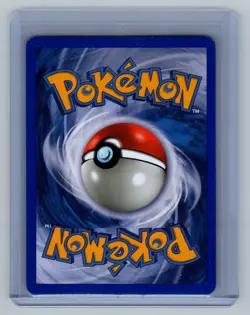 Pokemon TCG Mudkip EX Ruby & Sapphire 59/109 2003 Basic Reverse Holo MINT - Image 2